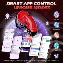 Load image into Gallery viewer, Chastity Cage Vibrator Sex Toýs for Man - Male Chastity Devices Sissy Cock Cage Sex Toyscouples for Couples with 10 Vibrations, BDSM Bondage Penis Exercise Train Adult Toy with 5 Sizes Ring 2 Keys